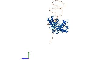 Protein Structure (PS) image for DEP Domain Containing mTOR-Interacting Protein (DEPTOR) (AA 1-409) protein (His tag) (ABIN7547129)