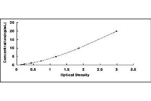 Image no. 1 for Ferritin, Light Polypeptide (FTL) ELISA Kit (ABIN5665006)
