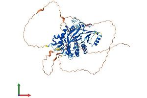 Protein Structure (PS) image for Tubulin Tyrosine Ligase-Like Family, Member 2 (TTLL2) (AA 1-592) protein (His tag) (ABIN7544835)