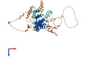 AlphaFold protein structure predicition of Human Recombinant TBC1D3G Protein, UniprotID Q6DHY5