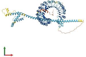 AlphaFold protein structure predicition of Mouse Recombinant Fbxl13 Protein, UniprotID Q8CDU4