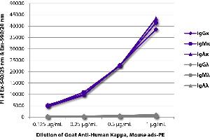 FLISA plate was coated with purified human IgGκ, IgMκ, IgAκ, IgGλ, IgMλ, and IgAλ. (Igk 抗体  (PE))