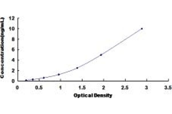 LAG3 ELISA 试剂盒