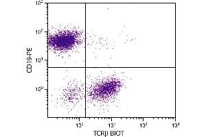 BALB/c mouse splenocytes were stained with Hamster Anti-Mouse TCRβ-BIOT. (TCRb 抗体  (Biotin))