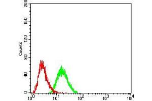 Flow cytometric analysis of HEK293 cells using BMP7 mouse mAb (green) and negative control (red). (BMP7 抗体  (AA 239-431))