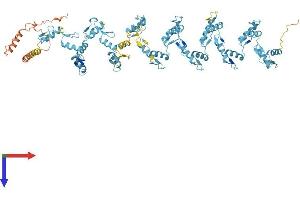 AlphaFold protein structure predicition of Human Recombinant ZNF107 Protein, UniprotID Q9UII5