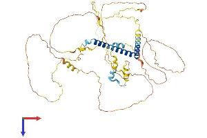 T Cell Activation GTPase Activating Protein 1 (TAGAP1) (AA 1-505) protein (His tag)