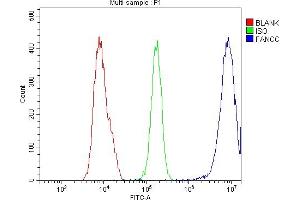 Flow Cytometry analysis of U20S cells using anti-FANCC antibody (ABIN7599476).
