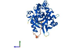 Protein Structure (PS) image for Nudix (Nucleoside Diphosphate Linked Moiety X)-Type Motif 22 (NUDT22) (AA 1-308) protein (His tag) (ABIN7561368)