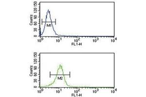 TRAP antibody flow cytometric analysis of NCI-H460 cells (green) compared to a negative control (blue).