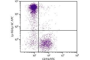 BALB/c mouse bone marrow cells were stained with Rat Anti-Mouse Ly-6G/Ly-6C-APC. (LY6C + LY6G 抗体 (PE-Cy5.5))
