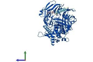 Protein Structure (PS) image for Fibroblast Activation Protein, alpha (FAP) (AA 1-760) protein (His tag) (ABIN7555516)