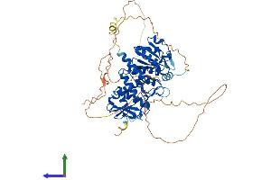Protein Structure (PS) image for CDC14 Cell Division Cycle 14 Homolog A (CDC14A) (AA 1-594) protein (His tag) (ABIN7553086)