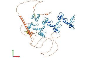 Protein Structure (PS) image for Zinc Finger Protein 81 (ZNF81) (AA 1-661) protein (His tag) (ABIN7545853)