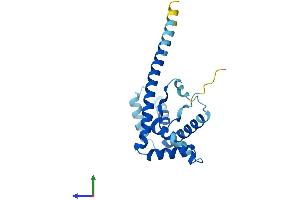 Protein Structure (PS) image for High Mobility Group Box 4 (HMGB4) (AA 1-186) protein (His tag) (ABIN7548301)