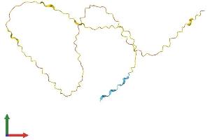Protein Structure (PS) image for Variable Charge, X-Linked 3A (VCX3A) (AA 1-186) protein (His tag) (ABIN7545082)