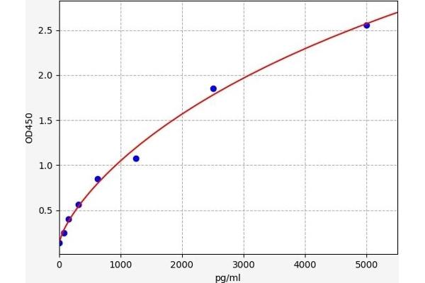 Alpha-amylase 1 ELISA 试剂盒