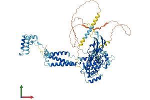 Protein Structure (PS) image for SEC63 Homolog (SEC63) (AA 1-760) protein (His tag) (ABIN7555376)