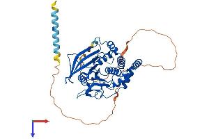 PTPN1 Protein (AA 1-435) (His tag)