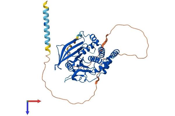 PTPN1 Protein (AA 1-435) (His tag)