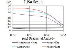 Black line: Control Antigen (100 ng);Purple line: Antigen (10ng); Blue line: Antigen (50 ng); Red line:Antigen (100 ng) (TRAF2 抗体  (AA 39-188))