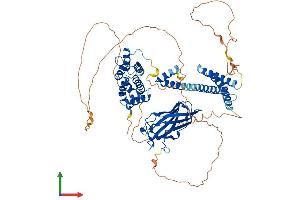 Protein Structure (PS) image for Golgi-Associated, gamma Adaptin Ear Containing, ARF Binding Protein 3 (GGA3) (AA 1-723) protein (His tag) (ABIN7554006)