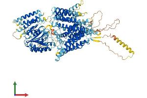 AlphaFold protein structure predicition of Mouse Recombinant Pigo Protein, UniprotID Q9JJI6