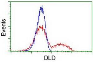 Flow Cytometry (FACS) image for anti-Dihydrolipoamide Dehydrogenase (DLD) antibody (ABIN1497849) (DLD 抗体)