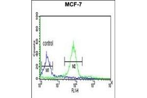 BARON Antibody (Center) (ABIN6243818 and ABIN6577360) flow cytometric analysis of MCF-7 cells (right histogram) compared to a negative control cell (left histogram). (Rubicon 抗体  (AA 656-684))