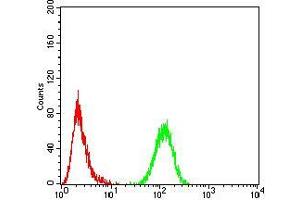 Flow Cytometry (FACS) image for anti-Chromobox Homolog 5 (CBX5) (AA 1-191) antibody (ABIN5542712)