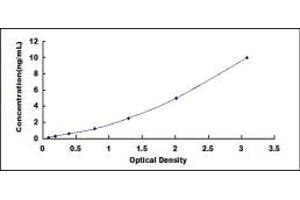 Typical standard curve (MMP8 ELISA 试剂盒)