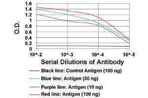 ELISA analysis of SSTR3 monoclonal antibody, clone 7H8E5  at 1:10000 dilution. (SSTR3 抗体  (AA 1-43))