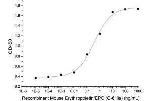 ELISA image for Erythropoietin (EPO) (Active) protein (His tag) (ABIN7320904) (EPO Protein (His tag))