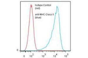 Flow cytometric analysis of Daudi cells with MHC Class II monoclonal antibody, clone TDR31. (MHC Class II 抗体)