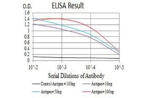 Black line: Control Antigen (100 ng),Purple line: Antigen (10 ng), Blue line: Antigen (50 ng), Red line:Antigen (100 ng) (CD84 抗体  (AA 22-225))