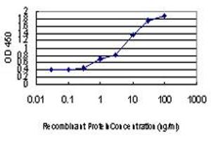 Detection limit for recombinant GST tagged STC2 is approximately 0. (Stanniocalcin 2 抗体  (AA 1-302))