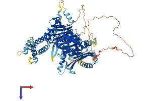 HPS1 Protein (AA 1-700) (His tag)
