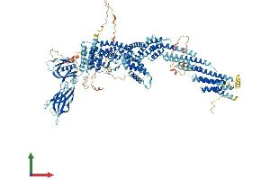 Protein Structure (PS) image for Ca++-Dependent Secretion Activator 2 (CADPS2) (AA 1-1297) protein (His tag) (ABIN7564469)