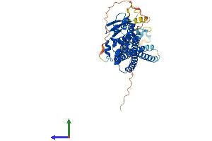 AlphaFold protein structure predicition of Mouse Recombinant Snx8 Protein, UniprotID Q8CFD4