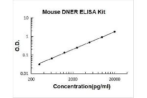delta/notch-Like EGF Repeat Containing (DNER) ELISA Kit