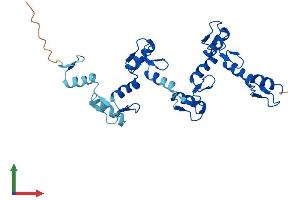 Protein Structure (PS) image for Zinc Finger Protein 146 (ZNF146) (AA 1-292) protein (His tag) (ABIN7558819)