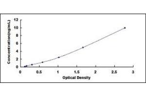 Typical standard curve (MYLK ELISA 试剂盒)