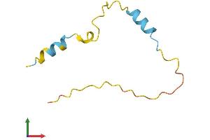 Protein Structure (PS) image for Protein Kinase (CAMP-Dependent, Catalytic) Inhibitor gamma (PKIG) (AA 1-76) protein (Fc Tag) (ABIN7548536)