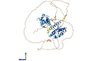Protein Structure (PS) image for Interferon Regulatory Factor 2 Binding Protein 1 (IRF2BP1) (AA 1-584) protein (His tag) (ABIN7559750)