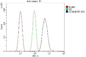 Flow Cytometry analysis of HEPA1-6 cells using anti-Adam28 antibody (ABIN7600945).