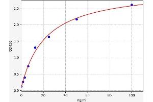 Typical standard curve (Syndecan 1 ELISA 试剂盒)