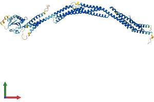 AlphaFold protein structure predicition of Human Recombinant SESTD1 Protein, UniprotID Q86VW0