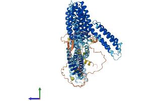 Protein Structure (PS) image for Catenin (Cadherin-Associated Protein), alpha 2 (CTNNA2) (AA 1-953) protein (His tag) (ABIN7553575)