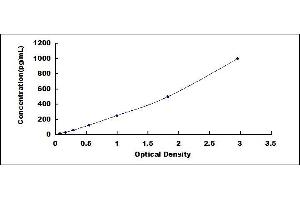 Typical standard curve (FGF11 ELISA 试剂盒)