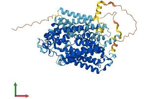 Protein Structure (PS) image for Solute Carrier Family 5 (Sodium/glucose Cotransporter), Member 2 (SLC5A2) (AA 1-672) protein (His tag) (ABIN7555392)